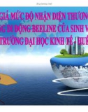 Tiểu luận: Đánh giá mức độ nhận diện thương hiệu mạng di động Beelene của sinh viên trường ĐH Kinh tế Huế