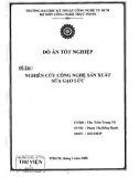 Đồ án tốt nghiệp: Nghiên cứu công nghệ sản xuất sữa gạo lức