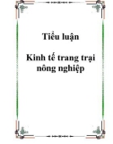 Tiểu luận Kinh tế trang trại nông nghiệp