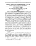 BÁO CÁO NGHIÊN CỨU CÁC PHƯƠNG PHÁP BẢO QUẢN PHÔI LÚA MÌ VÀ ỨNG DỤNG TRONG CÔNG NGHỆ THỰC PHẨM 