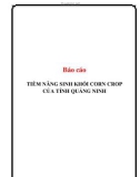 Báo cáo: Tiềm năng sinh khối corn crop của tỉnh Quảng Ninh