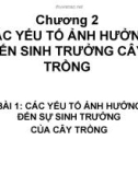 Bài giảng Độ phì nhiêu đất đai và phân bón - Chương 2: Các yếu tố ảnh hưởng đến sinh trưởng cây trồng