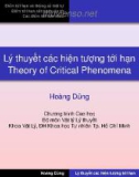 Lý thuyết các hiện tượng tới hạn