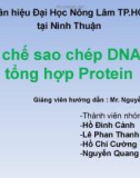 Bài giảng Di truyền thực vật - Nhóm 6: Cơ chế sao chép DNA và tổng hợp Protein