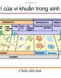 Bài giảng Vi sinh vật: Chương 2 - Phạm Tuấn Anh