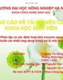 Đề tài: “Phân lập và xác định hoạt tính enzyme ngoại bào của vi khuẩn ưa nhiệt ứng dụng trong xử lý môi trường”