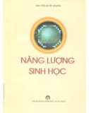 Giáo trình Năng lượng sinh học: Phần 1