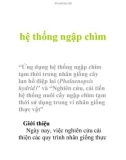 hệ thống ngập chìm “Ứng dụng hệ thống ngập chìm tạm thời trong nhân giống