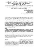 Nghiên cứu khả năng hấp phụ phenol trong nước bằng than hoạt tính điều chế từ mùn cưa gỗ thông