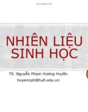 Bài giảng Nhiên liệu sinh học - TS. Nguyễn Phạm Hương Huyền