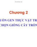 Bài giảng Chương 2: Nguồn gen thực vật trong chọn giống cây trồng