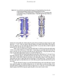 Hàm Logic Trong Thiết Bị Đi part part 10