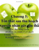 Bài giảng Công nghệ sau thu hoạch: Chương 5 - ThS. Bùi Hồng Quân