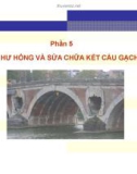 Bài giảng Bệnh học và sửa chữa công trình: Phần 5 - TS. Nguyễn Hoàng Giang