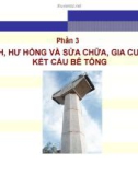 Bài giảng Bệnh học và sửa chữa công trình: Phần 3.1 - TS. Nguyễn Hoàng Giang