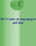 Bài giảng Vi sinh vật ứng dụng trong xử lý phế thải (chương 10)