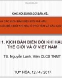 Bài giảng Kịch bản biến đổi khí hậu trên thế giới và ở Việt Nam