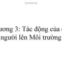 Những tác động của con người lên môi trường