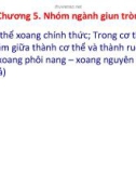 Bài giảng Động vật học - Chương 5: Nhóm ngành giun tròn