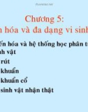 Bài giảng Vi sinh vật học: Chương 5 - PGS. TS. Nguyễn Đức Hoàng