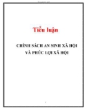 Tiểu luận: Chính sách an sinh xã hội và phúc lợi xã hội