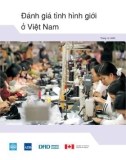 Đánh giá tình hình giới ở Việt Nam - 2006