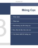 Bài giảng môn Địa cơ nền móng (TS Nguyễn Minh Tâm) - Chương 3 (Phần 1)