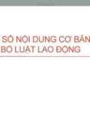 Bài giảng Một số nội dung cơ bản của Bộ luật Lao động