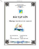 BÀI TẬP LỚN Môn học: NGUYÊN LÝ CẮT – DAO CẮT