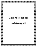 Chọn vị trí đặt cây xanh trong nhà