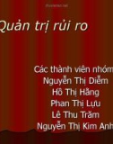 QUẢN TRỊ RỦI RO VINASHIN