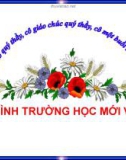 Bài giảng chuyên đề: Mô hình trường học mới VNEN