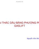 CƠ SỞ LỰA CHỌN PHƯƠNG PHÁP KHAI THÁC BẰNG GASLIFT TẠI VIỆT NAM