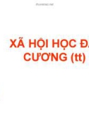 Bài giảng Xã hội học đại cương: Chương 1 Phần II - ThS. Đỗ Hồng Quân