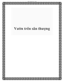 Vườn hoa trên sân thượng