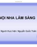 Bài giảng Nội nha lâm sàng - Nguyễn Quốc Toản