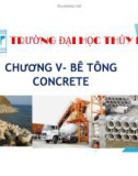 Bài giảng Vật liệu xây dựng: Chương V