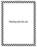 Nhường nhà cho cây