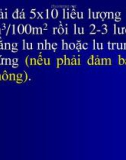 Bài giảng xây dựng mặt đường ôtô 3 P14