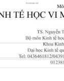 Bài giảng lý thuyết kinh tế học vi mô