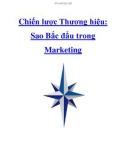 Chiến lược Thương hiệu: Sao Bắc đẩu trong Marketing