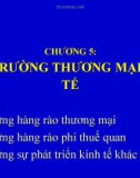 Bài giảng Quản trị kinh doanh quốc tế - Chương 5: Môi trường thương mại quốc tế