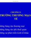 Bài giảng Quản trị kinh doanh quốc tế (International business international business managementmanagement) - Chương 5: Môi trường thương mại quốc tế