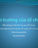 Bài giảng Quản trị học: Chương 4 - Trần Nhật Minh