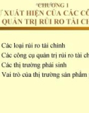 Bài giảng Chương 1: Sự xuất hiện của các công cụ quản trị rủi ro tài chính