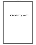 Câu hỏi “Tại sao?”