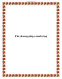 Các phương pháp e-marketing