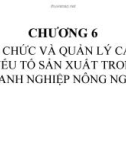 TỔ CHỨC VÀ QUẢN LÝ CÁC YẾU TỐ SẢN XUẤT TRONG DOANH NGHIỆP NÔNG NGHIỆP