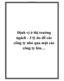 Định vị ở thị trường ngách - 3 lý do để công ty nhỏ qua mặt các công ty lớn