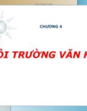 Bài giảng Kinh doanh quốc tế - Chương 6: Môi trường văn hóa